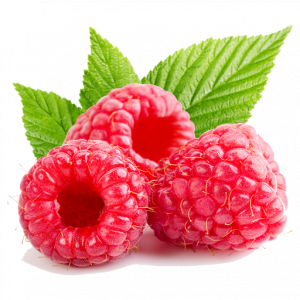100 Dehydrated Raspberries