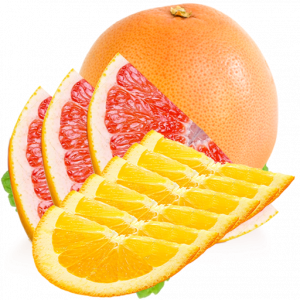 168 Orange & Grapefruit Half Slices Bundle