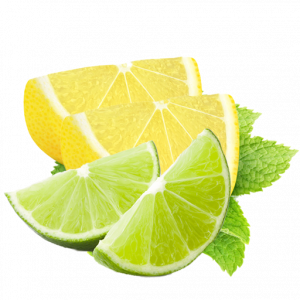 364 Lemon & Lime Wedges Bundle