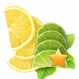 358 Lemon & Lime Half Slices Bundle