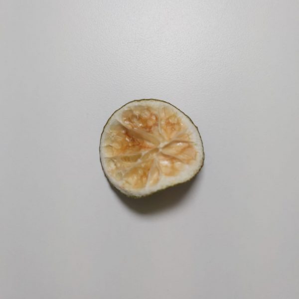 500g Lime Titbits